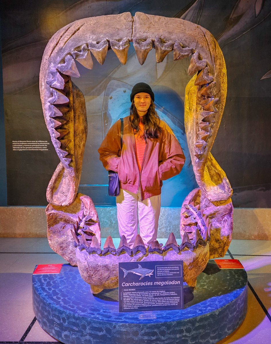 lucre_art's tweet image. with the sharks and the dinos 🦈🦕