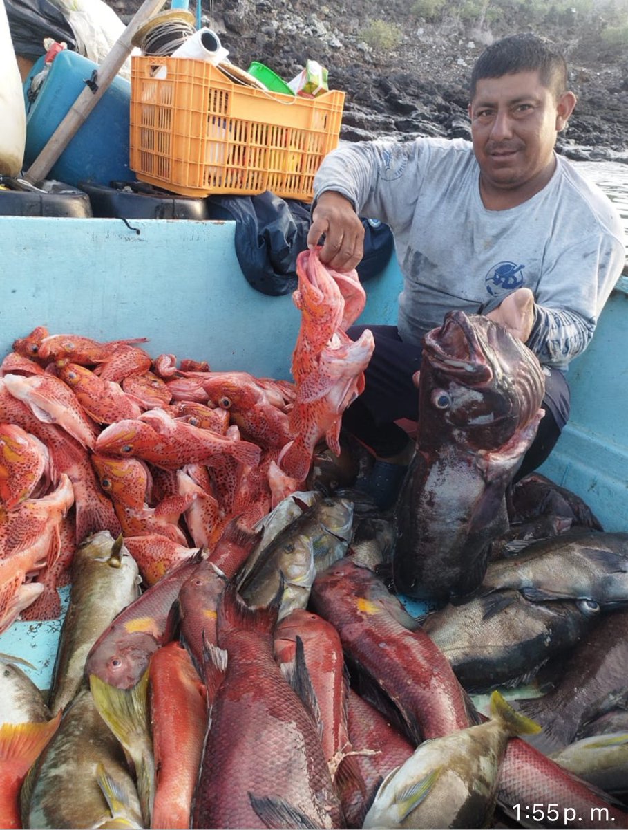 Feliz día del pescador ecuatoriano!