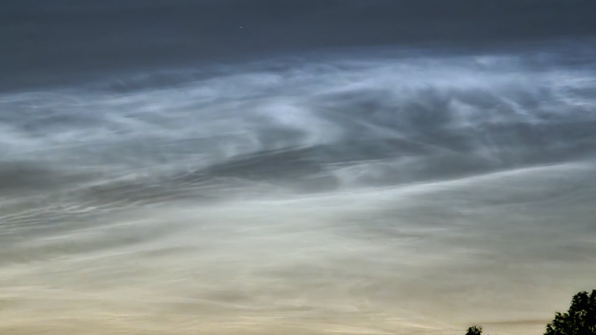 Tim Westerduin tweet media