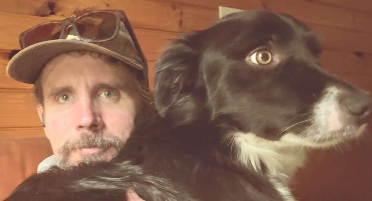 Scout, the sweetest border collie on Earth