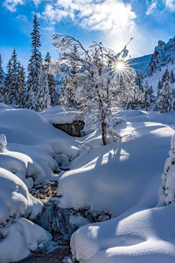 Kirli ellerle ruhuna dokunulduğunu duymak işkence görmekten daha acı ve korkunçtur. Maksim Gorki