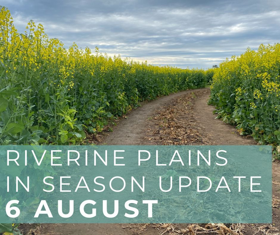 Join us for the 2025 In Season Update (wow where did the year go!). We are going to tackle these issues:
✅ Topical agronomic insights
✅ What ISCC sustainability rules really mean for your farm
✅ Important updates on Paraquat
🗓️ 6th August
📍 Corowa
🎫: hubs.la/Q03tZn6t0