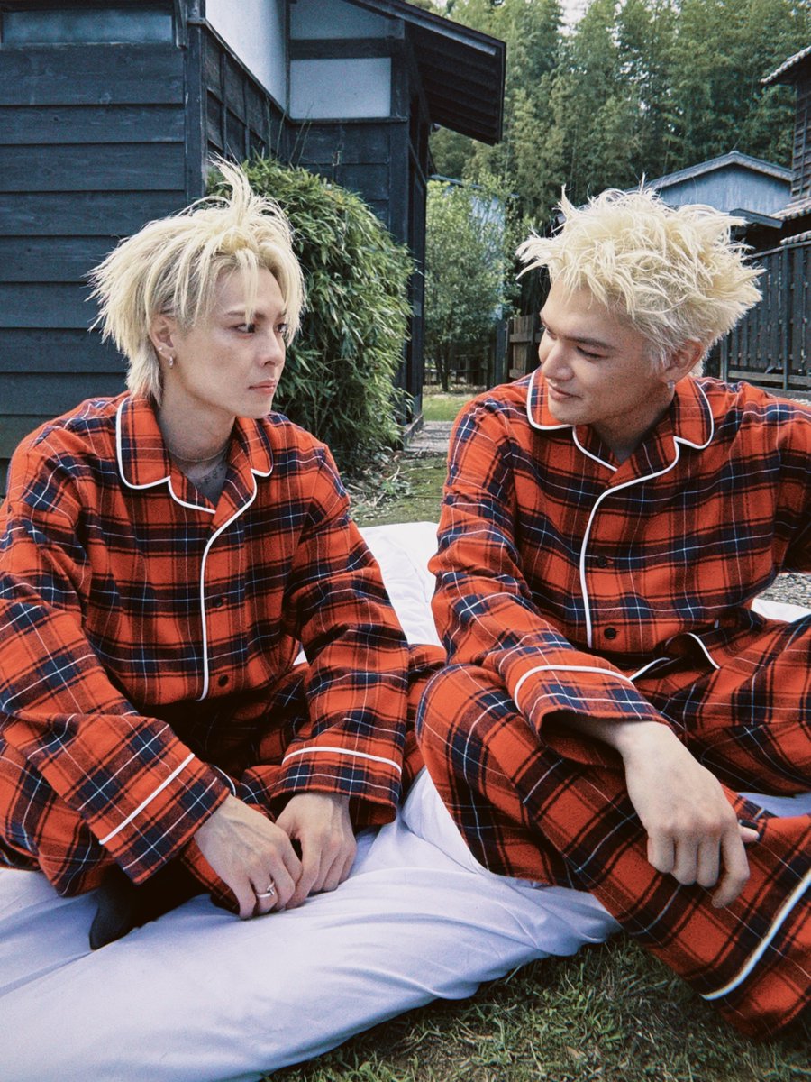 WOLF HOWL HARMONY Bossa Bosa ボサボサ コンプセット WOLF HOWL