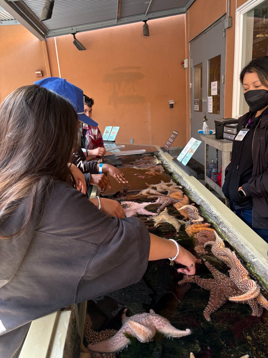 Think Together (@thinktogether) on Twitter photo Who says learning stops over break? Not our TK–6th grade students from Thomas Jefferson Elementary in <a href="/UsdBellflower/">Bellflower Unified</a> ! 💡
Our students visited the California Science Center, Los Angeles Zoo, and got their hands dirty (and sweet!) picking strawberries at Tanaka Farms. 🐾🚀🍓 Who says learning stops over break? Not our TK–6th grade students from Thomas Jefferson Elementary in <a href="/UsdBellflower/">Bellflower Unified</a> ! 💡
Our students visited the California Science Center, Los Angeles Zoo, and got their hands dirty (and sweet!) picking strawberries at Tanaka Farms. 🐾🚀🍓