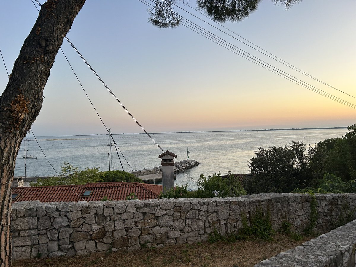 Duino 🦐😎🌊