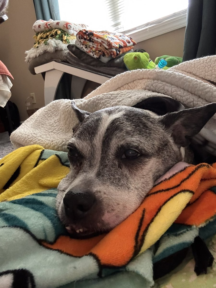 Mitch // itsOGPickle tweet media