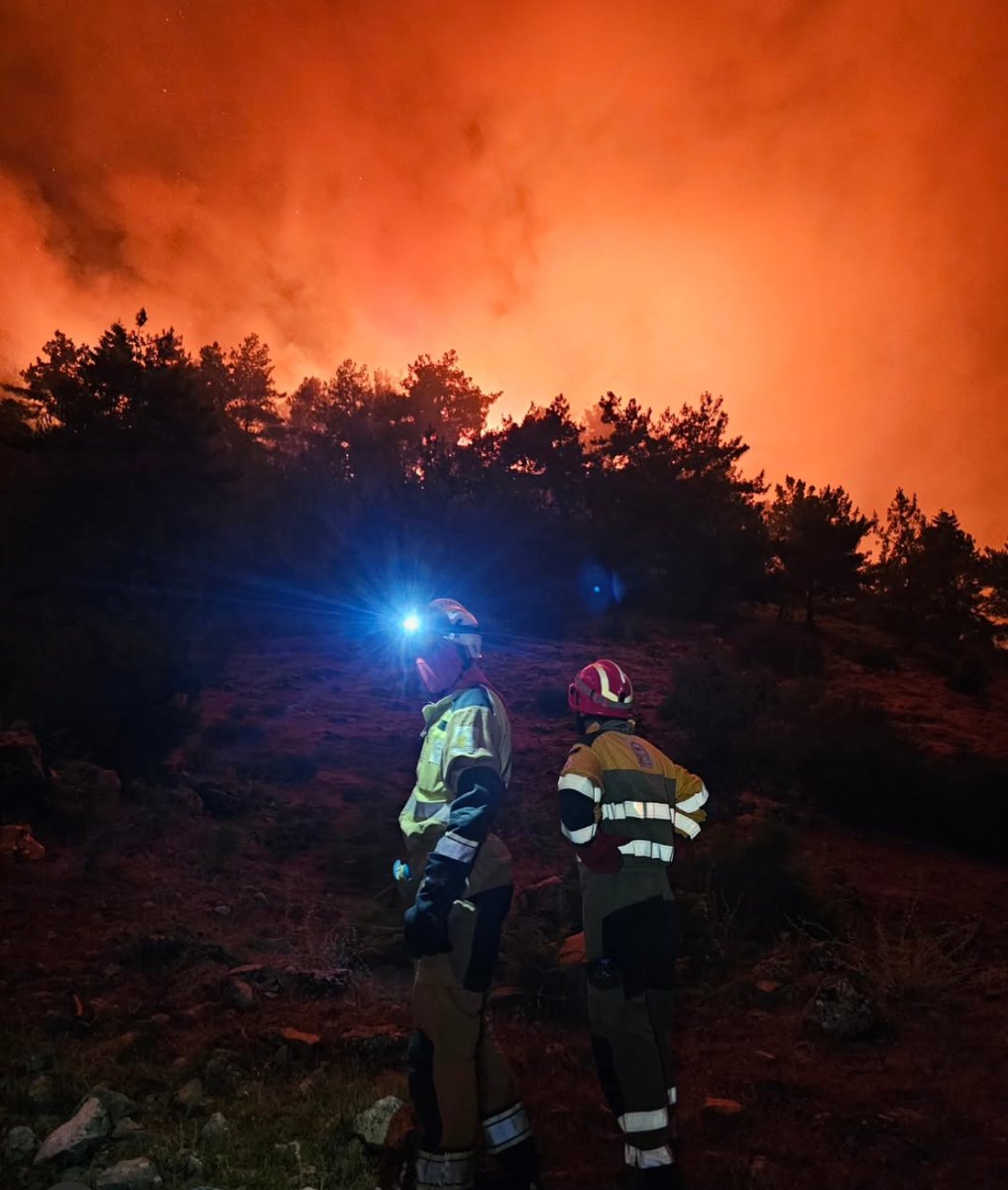 shorkk_food's tweet image. It's fire season in Lebanon. The people of Akkar, in the north, are fighting fires with equipment bought thanks to donations. They are volunteers. 
If you can your support would be so appreciated– every bit of help makes a difference. gofund.me/0d65991a 

#Lebanon #Akkar