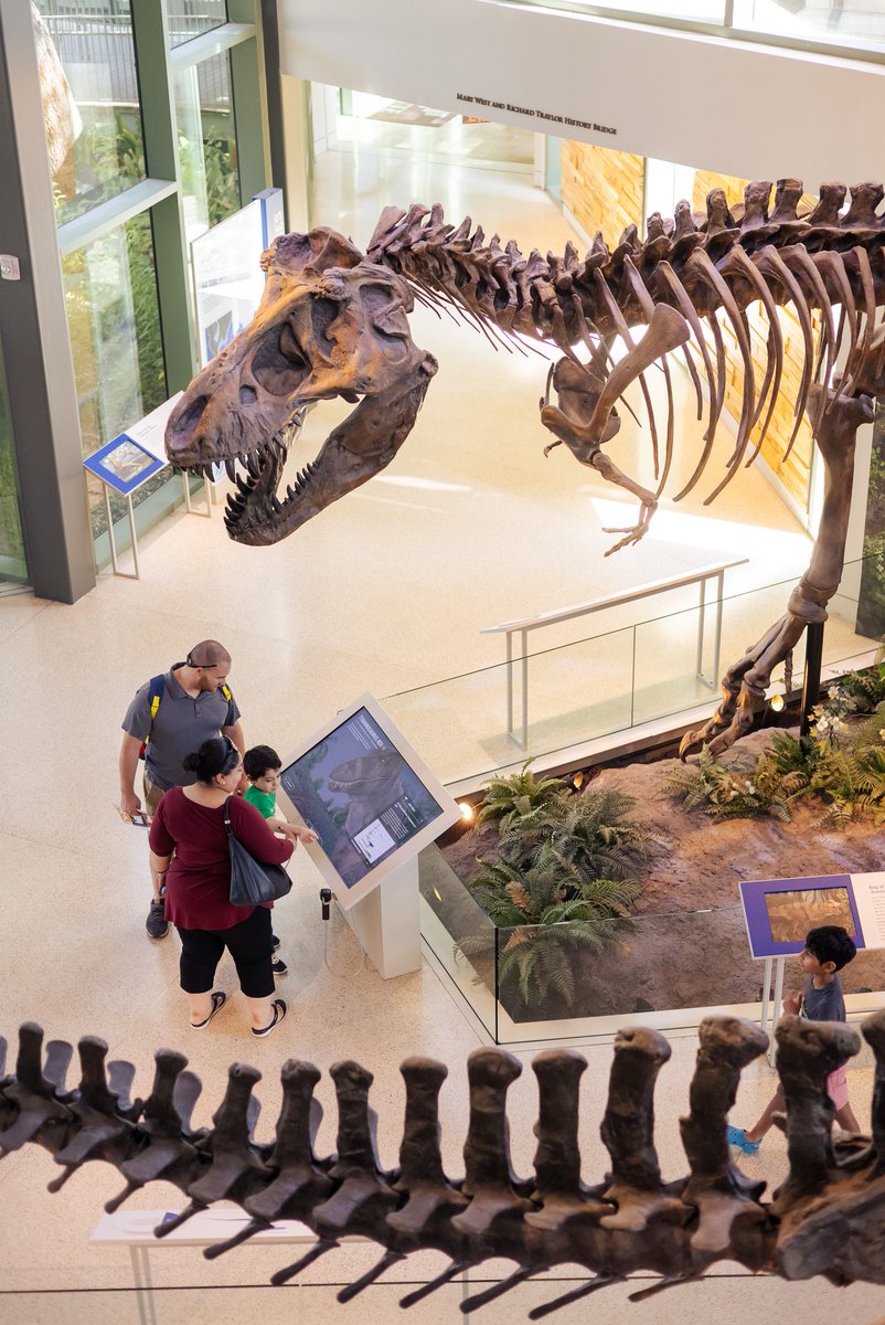 theSARiverWalk's tweet image. Ready for an epic family day out?! ☀️

The River Walk’s got it all — from wild adventures to hands-on fun!

Let’s explore the best spots to make unforgettable memories along (or near) the river:
bit.ly/4aFEY2M