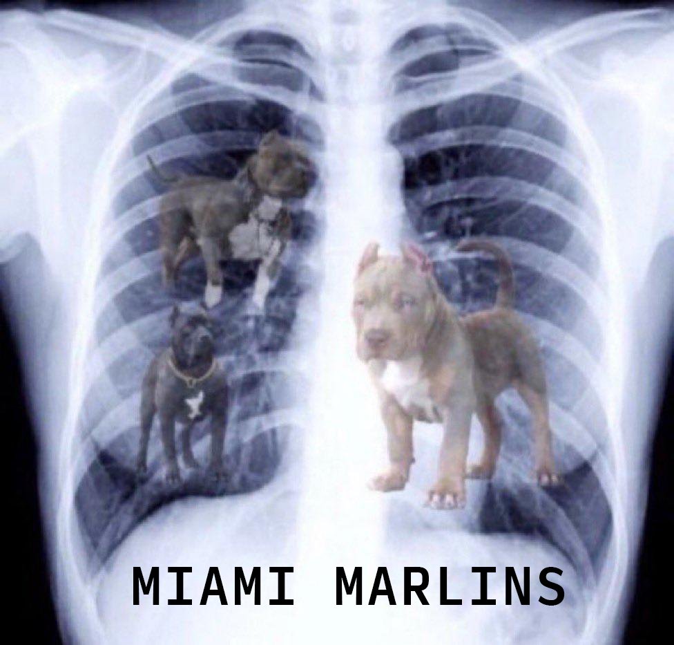 Miami Marlins (@marlins) on Twitter photo 