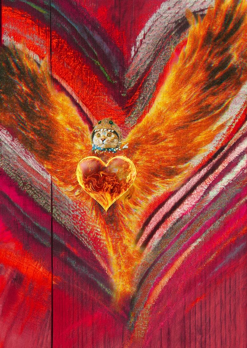 sharkcat has stealthily slipped through undetected by swimming deep in the ocean 

this has allowed the sharkcat to grow, undisturbed. sharpening it's dual apex predator hunting skills to perfection 

and you want to fade this majestic creature?

🦈🐱 $SC