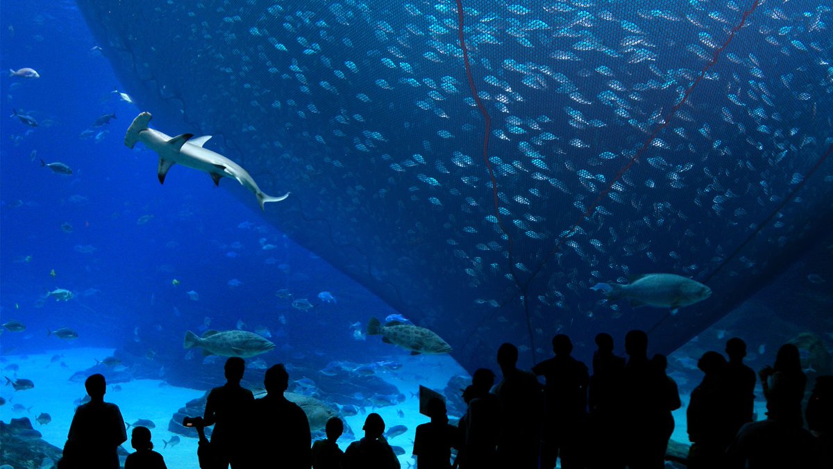 Trump Opens Up Nation’s Aquariums To Commercial Fishing theonion.com/trump-opens-up…