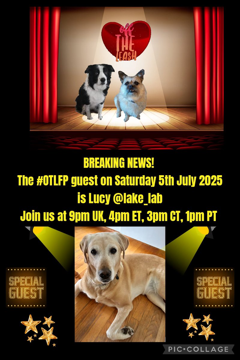 Pixie💔😭Millie💔Moose💔Fancy💔Wickett💔Stan😭 (@pixie_tooth) on Twitter photo Join us Saturday 4pm ET 3pm CT 2pm MT 1pm PT UK pm
follow #OTLFP to join in all the fun! All are welcome! 😀
@STheBoatDog
<a href="/TheHugHouse/">🧸🌻 Alfie 🌻 🧸</a>
<a href="/SiriusWhite14/">Sirius White</a>
@SadGirlbx
<a href="/LittleTess3/">Tessie 💙 RIP Olly 🐾</a>
<a href="/CharliePurrker/">Toby 🇺🇦🇺🇲</a>
@Henry_Tzu
<a href="/WonderWilbur/">Wilbur the Wonder & Ernie the Explorer</a>
<a href="/ScotBEricTrev/">Scotty 🧸 Bea 🐰 Eric 🧸Trev 🧸 🧡💜 b.e.s.t!</a>
<a href="/PugnatiousG/">Angel Pugnatious Gibbons 🌈</a> Join us Saturday 4pm ET 3pm CT 2pm MT 1pm PT UK pm
follow #OTLFP to join in all the fun! All are welcome! 😀
@STheBoatDog
<a href="/TheHugHouse/">🧸🌻 Alfie 🌻 🧸</a>
<a href="/SiriusWhite14/">Sirius White</a>
@SadGirlbx
<a href="/LittleTess3/">Tessie 💙 RIP Olly 🐾</a>
<a href="/CharliePurrker/">Toby 🇺🇦🇺🇲</a>
@Henry_Tzu
<a href="/WonderWilbur/">Wilbur the Wonder & Ernie the Explorer</a>
<a href="/ScotBEricTrev/">Scotty 🧸 Bea 🐰 Eric 🧸Trev 🧸 🧡💜 b.e.s.t!</a>
<a href="/PugnatiousG/">Angel Pugnatious Gibbons 🌈</a>