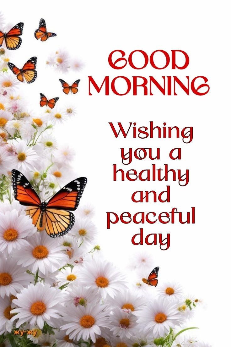 Assalam o Alaikum!💜
Good Morning!💐
Have a Peaceful Day!🍃
