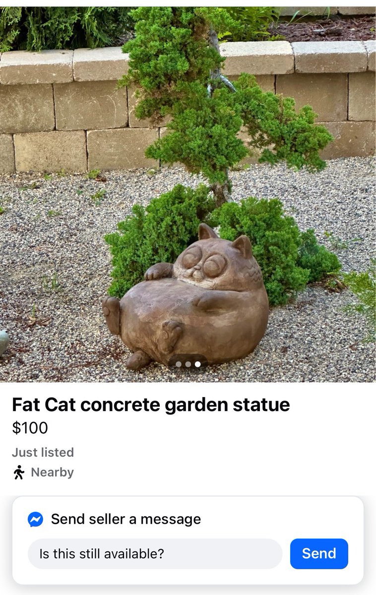 Leone 🍰 tweet media