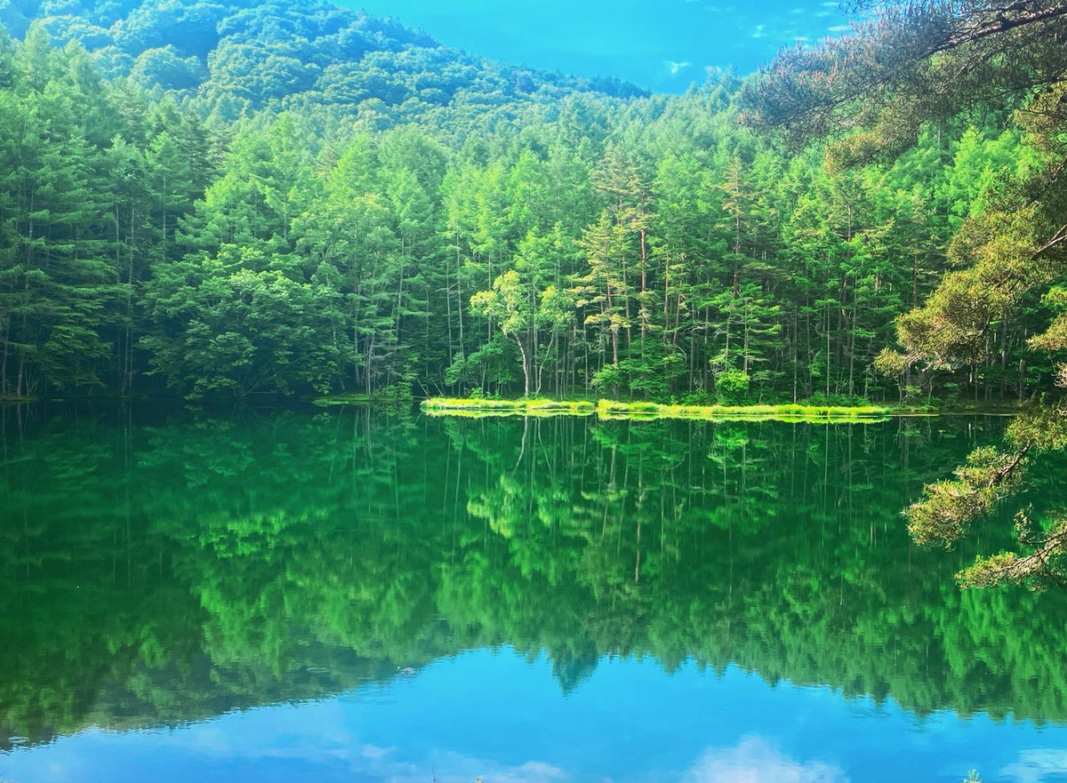 自然の偉大さを感じる朝です。
いつも自然は、人が創り出したものに溶け込むように全てを受け止めてくれているなぁと。。

深いなぁ。美しいなぁ。。
#御射鹿池