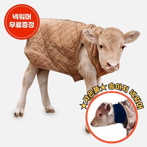 clclek's tweet image. 월요팅~~~🍄🍄🫰🫰