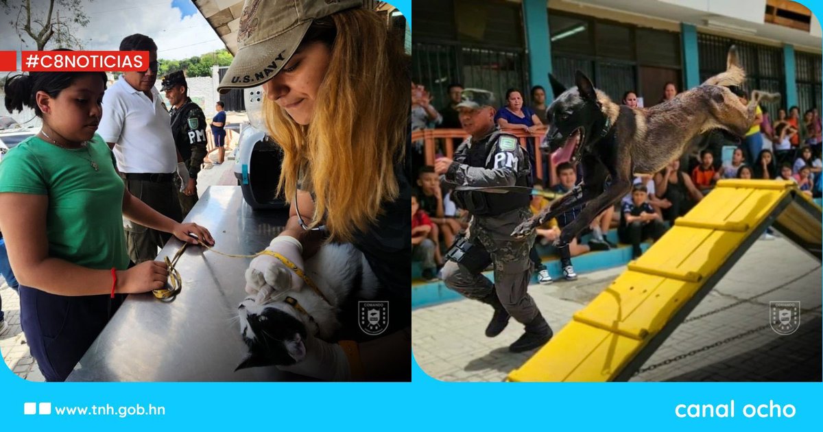 #C8Noticias || 🪖🐾 Las Fuerzas Armadas (@FFAAH ), a través de la Policía Militar del Orden Público (<a href="/PMOPHN/">Policía Militar de Honduras</a>), mediante el Primer Batallón Canino (1er BCPMOP), brindaron servicios veterinarios durante una brigada organizada por el XXI Batallón de Policía Militar, llevada a cabo
