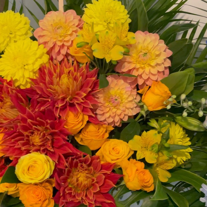 時には、花束で気分が明るくなることもあります🌈
人生があなたと私に優しくありますように✨
#今日の美しさ #小さな幸せ