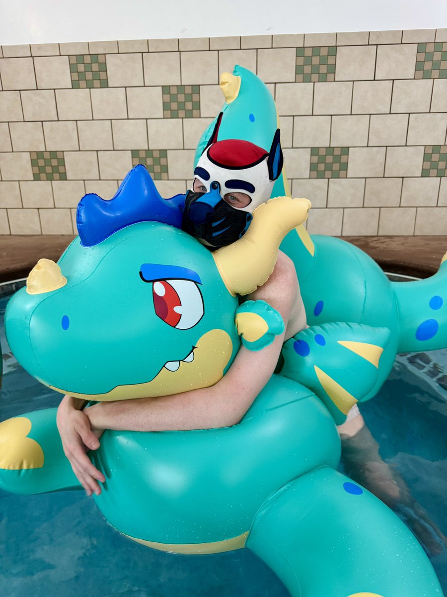 Dog in the pool 
Dog in the pool 
Dog in the pool