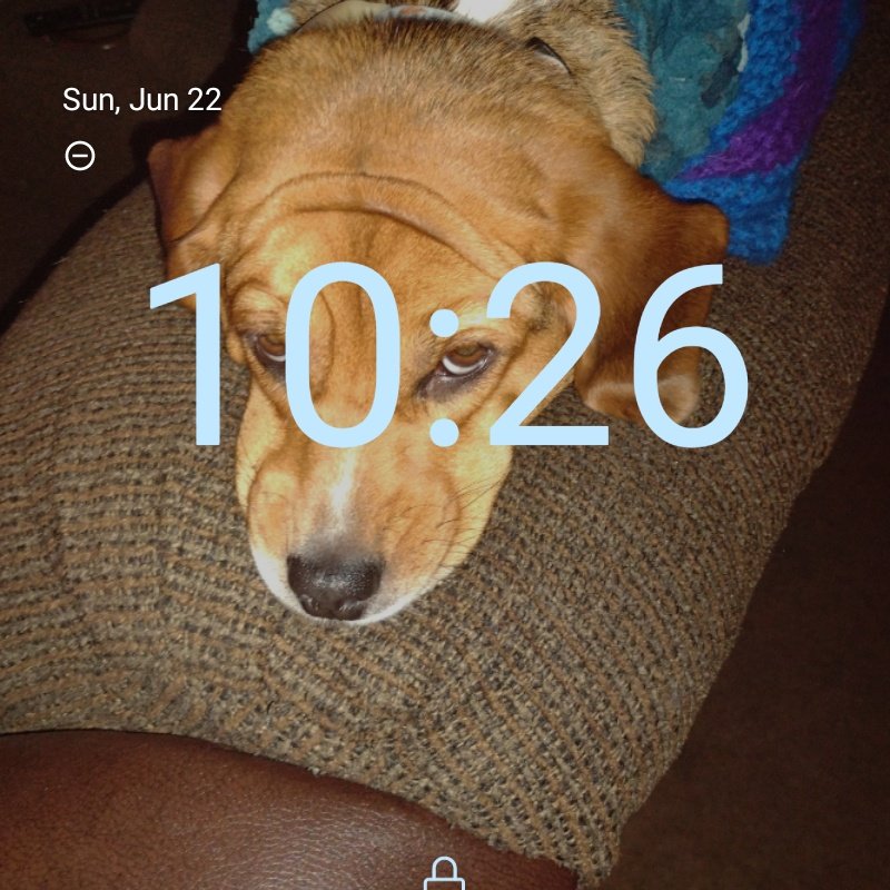 nicholas_kemper's tweet image. #NewProfilePic