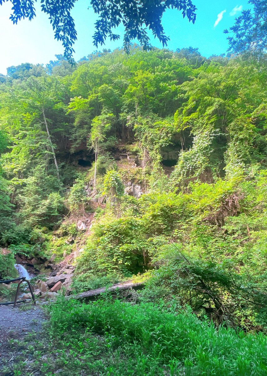 コッチミテタ🫢✨