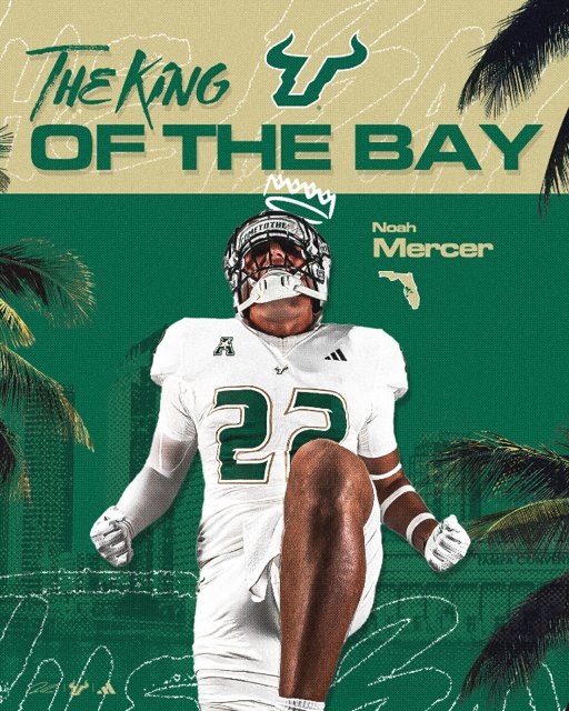 Njmercer07's tweet image. #GoBulls
