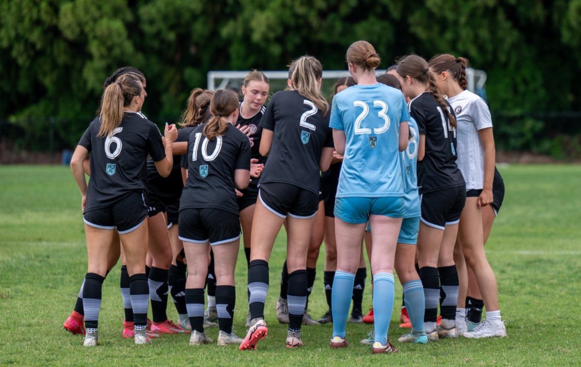 Sophia Canelopoulos tweet media