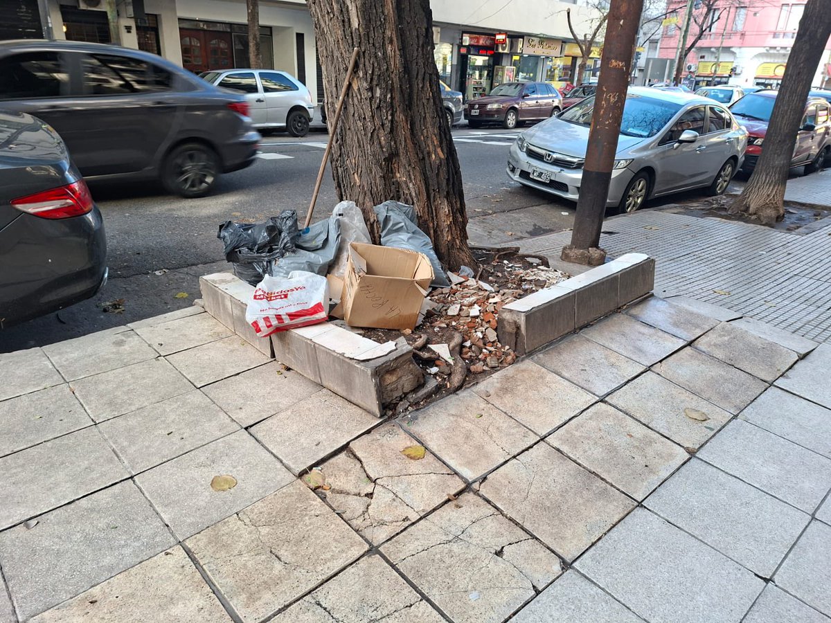 Viqquiruiz's tweet photo. 📍Emilio Mitre 50, Caballito.
Meses reclamando la poda de este árbol que levantó toda la vereda. Es una cuadra muy transitada con un colegio cerca.
Un verdadero peligro para chicos y personas mayores. Hicimos varios reportes en #MiBA y sin respuesta.. @BA147 @gcba @jorgemacri https://t.co/vYb3LICG3l