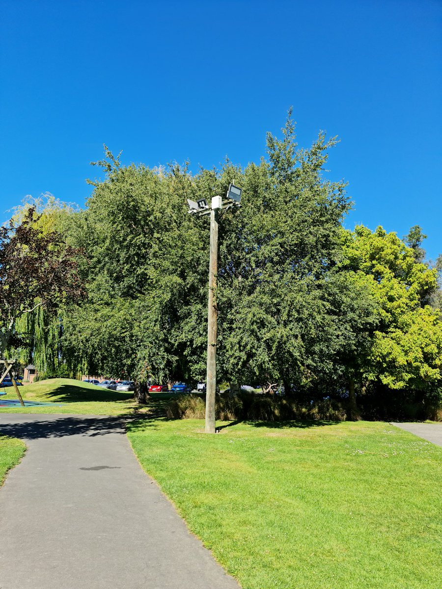 ywttz15568234's tweet image. coding adventure! Key takeaway? Hydrate well, keep cool, and let innovation flow even in the sweatiest conditions. Always stay persistent, like your code depends on it! 🌿💻 #DecentralizedApp #SummerCoding #TechLife #Blockchain #PortlandLife