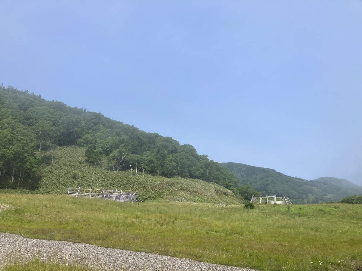 rusafieldhouse's tweet image. おはようございます。
本日は明るいけども、ガスに包まれた朝。
羅臼の町はガスに包まれてましたね。
今日も午後から気温が上がりそうです。
熱中症にはお気をつけください!