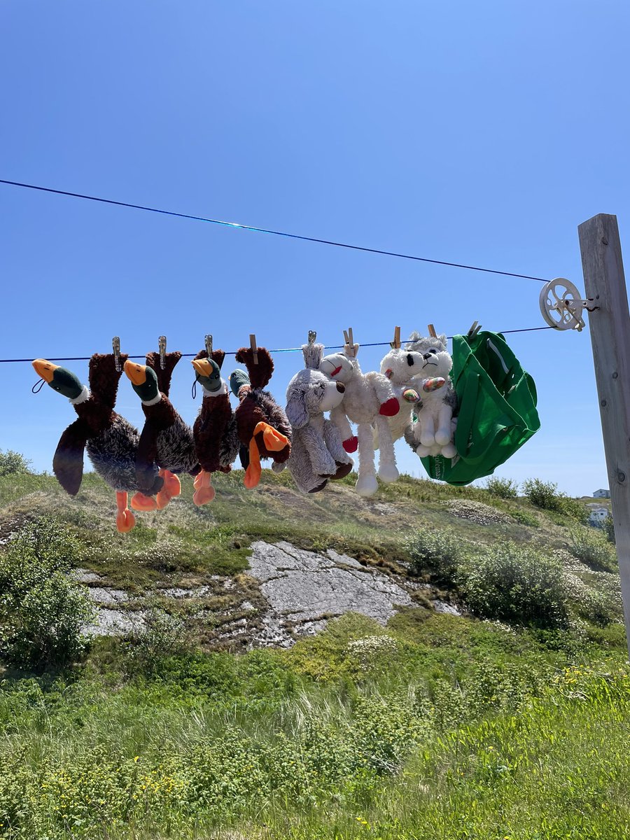 Something is up. I had a bath yesterday and today my friends got baths. Dad scrubbed the van and now all my special stuff is in the van. I think we are going on an adventure. Life of Chum. 
Ps: What’s Marine Atlantic?