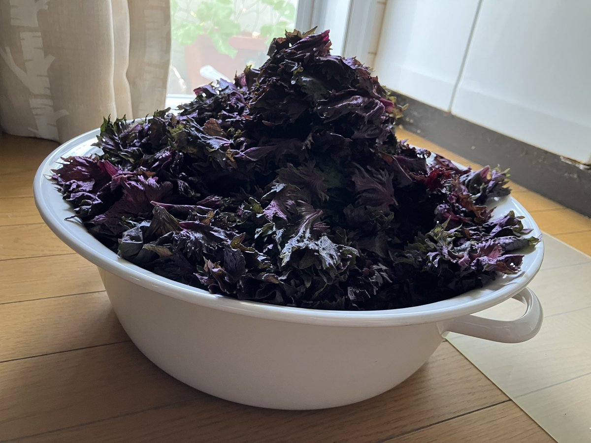 今年もなんとか梅仕事やり終えた…ホッ