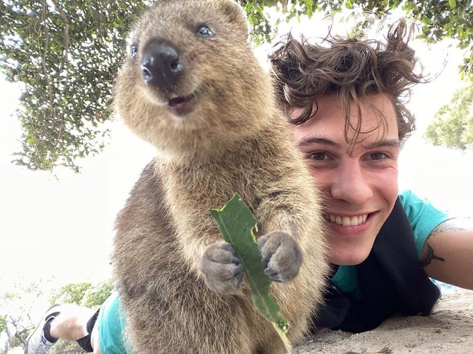 Gupov2_XYAESJ1-?format=jpg&name=small Fans Are Flooding Australia Zoo with Love Notes — After That Shawn Mendes and Robert Irwin Rumor Went Viral