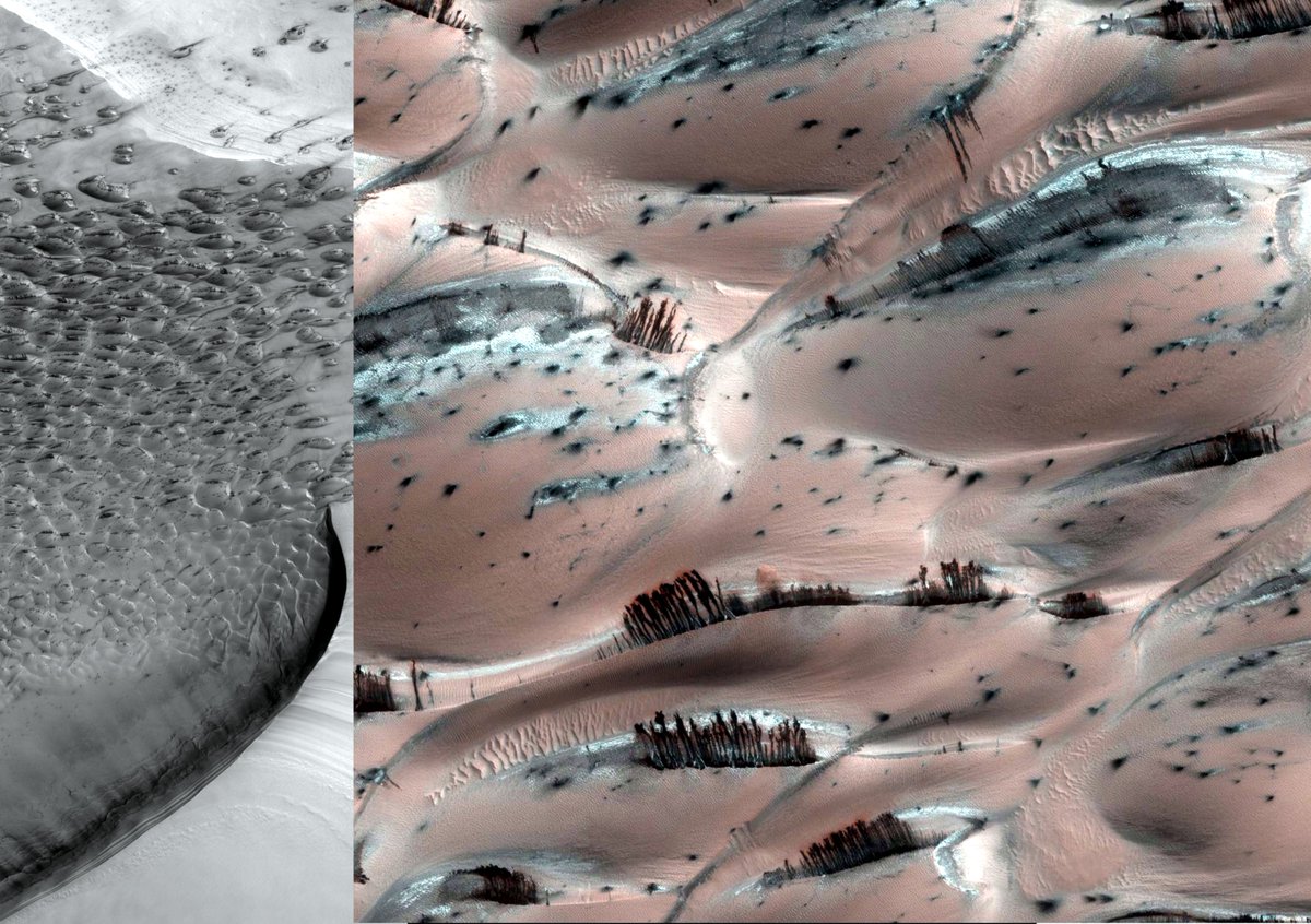 Cmdr_Hadfield's tweet image. Mars - surreal sand dunes. As carbon dioxide ice melts in Spring the sand tumbles down, leaving dark streaks.
hirise.lpl.arizona.edu/PSP_007962_2635 @uarizona @NASA