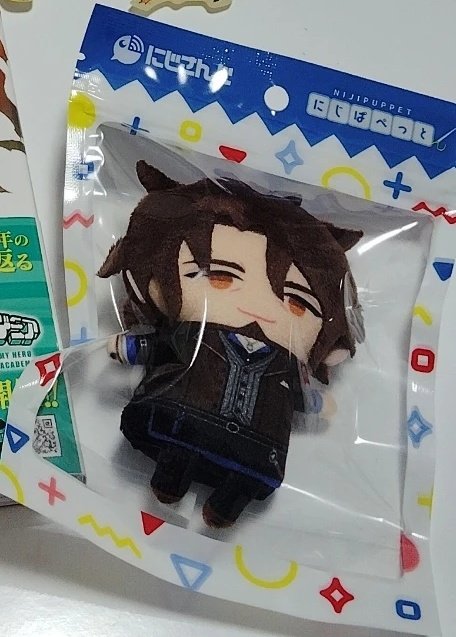 ベルさんを推し始めて5年、やっとベルさんのぱぺをお迎えしました！🥹
保護する為のケース買ったら色んなところに連れていきたい