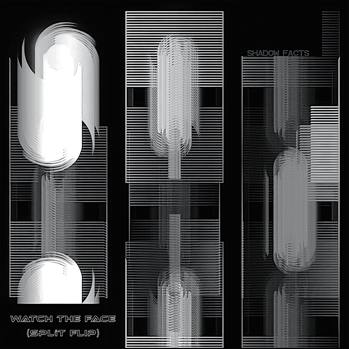 split_bass tweet picture
