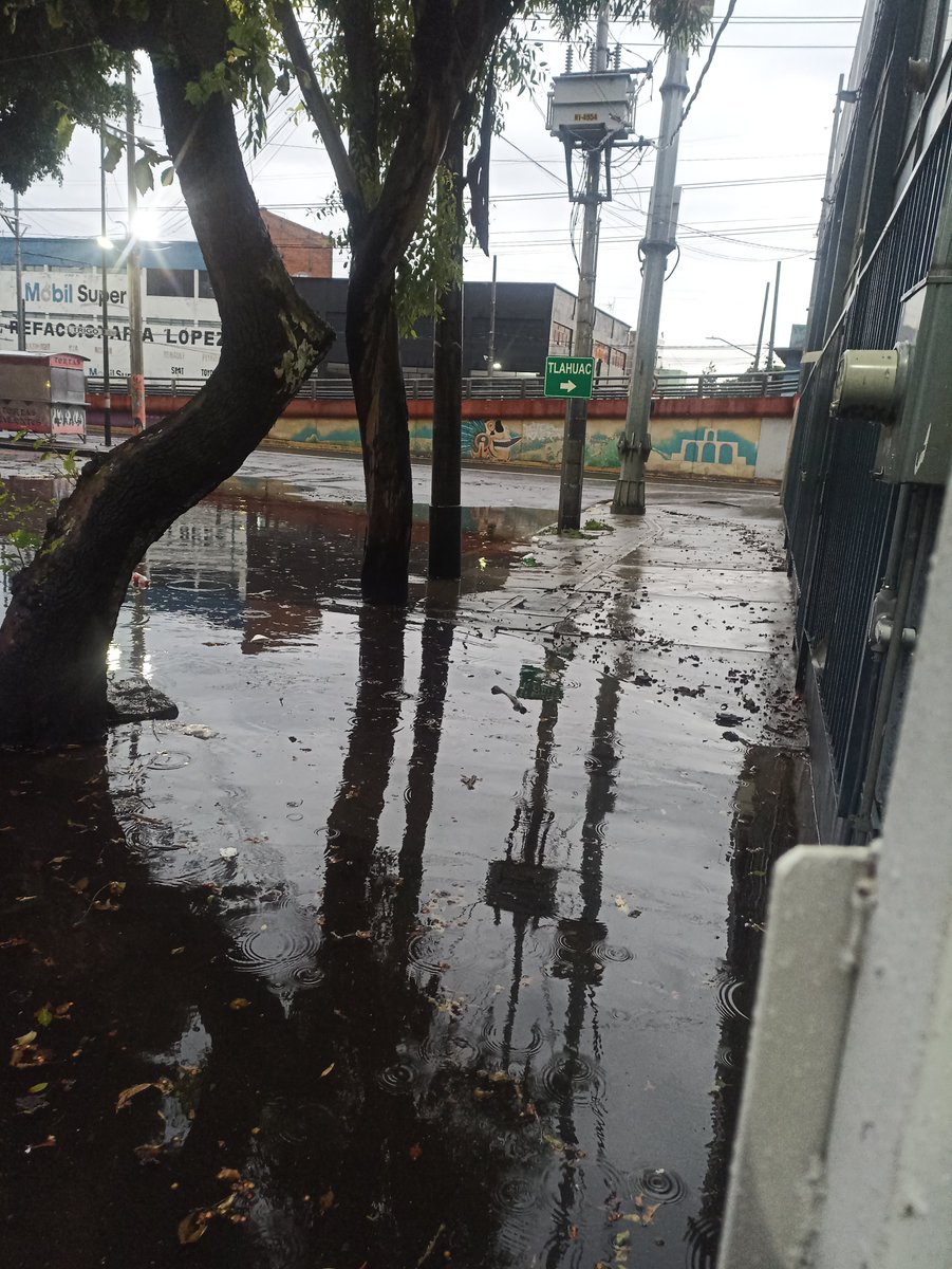 halohuesos's tweet photo. En la calle Trigo #8 colonia granjas esmeralda se acaba de meter el agua a todos los negocios y la calle no deja de inundarse @Alc_Iztapalapa https://t.co/vbgeLJSHD3
