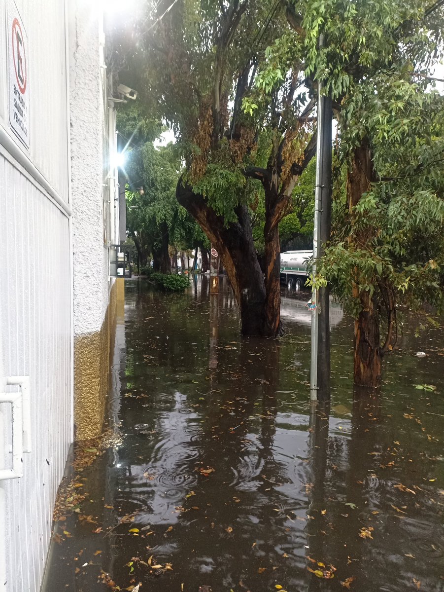 halohuesos's tweet photo. En la calle Trigo #8 colonia granjas esmeralda se acaba de meter el agua a todos los negocios y la calle no deja de inundarse @Alc_Iztapalapa https://t.co/vbgeLJSHD3