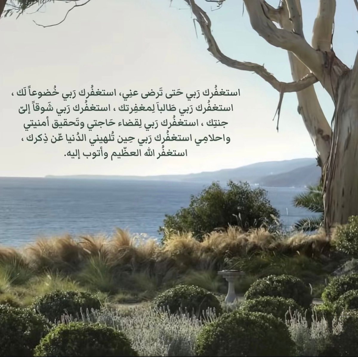 فــذكِّر (@thkkkrr_) on Twitter photo 