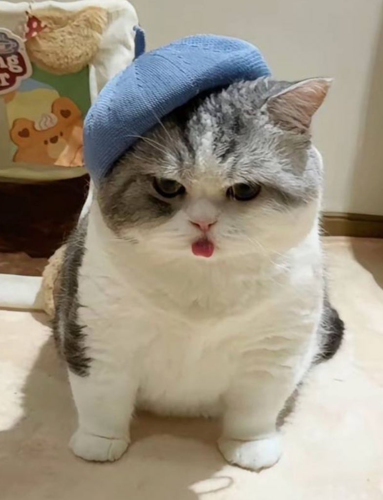 AzizNazarov's tweet image. 🥽 Voxel Week has officially begun.

This week, get ready for:
🚗 new cars
🧍 BOOSTDRIVE characters
🎨 and someone named…
VoxeLeAngelo 😇 — coming soon.

I create so you can fall in love.
Stay tuned, voxel family.
#voxel #BOOSTDRIVE #sandfam #VoxelArt #Web3Gaming $sand #sandbox