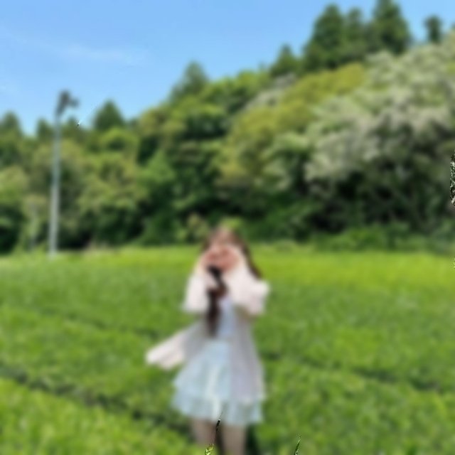 FD_Seobin's tweet photo. #멜섭 #펨돔 #MS #FD #SM #온플 #오프

1. 수치스러운 말 들으면서 딸치는거 보여줄 개자지 온플섭 구함

2. 오프 묶인채 사컨당하며 좆질할 개자지 환영

3. 머리채 잡힌채 뒷보지 페니반으로 따일 섭 

자지 상납하며 능욕당할 고딩부터 받아봄 디엠으로 소개 사진 얼공불가섭 ㅗ https://t.co/lMC8jvo8bf