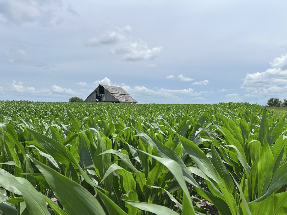 E-O local friend (@ok_listener) on Twitter photo 