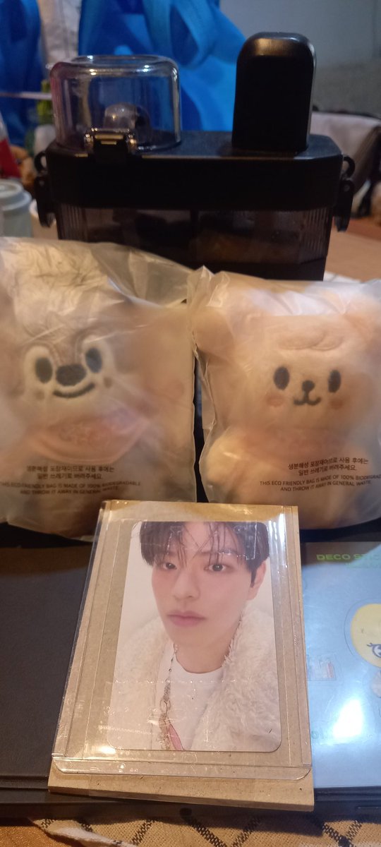 aaakkk 2 tuyul lucuk ini akhirnya nyampe jugaaaa.. yeaasss, wolfchan buat mamak, puppym buat kakak 🥰🥰.
Thank you so much <a href="/meisellthis/">SKZ INA GO 💖</a> <a href="/meinowlee/">meiling- 🥱</a> 
#chanmin #skzoo #bangseung #StrayKids #jajantuyulskzoo