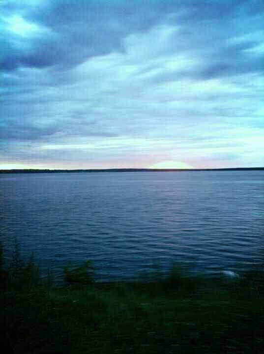 Master of none tweet media