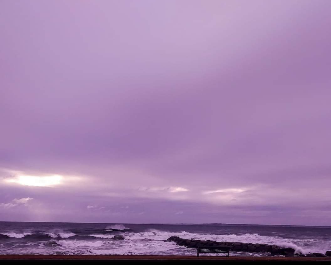 Master of none tweet media