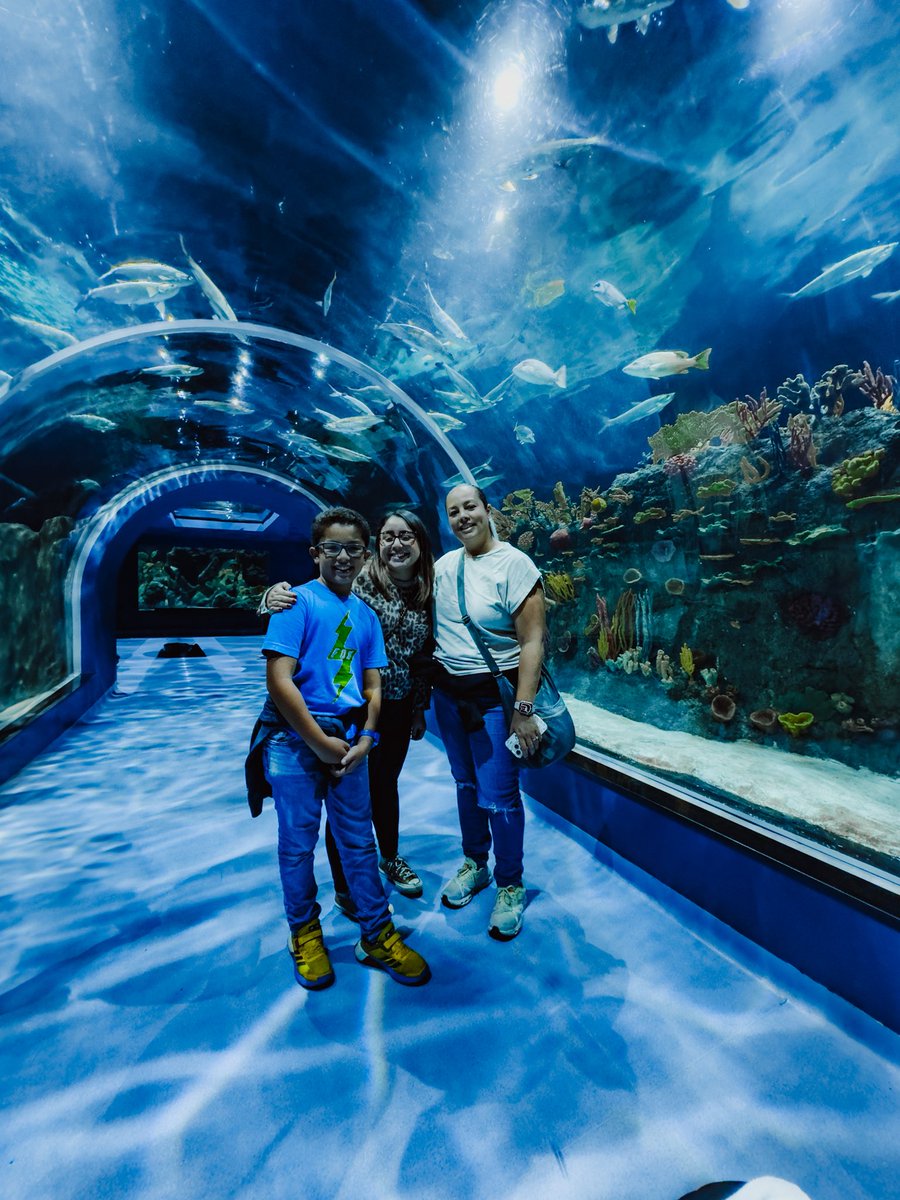 EMASOUND's tweet image. Un día de acuario con la familia.