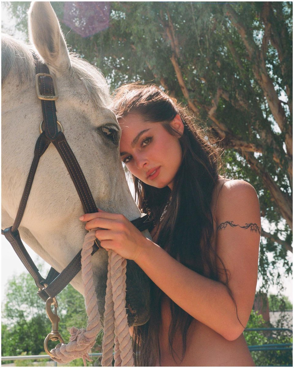 addisonrbr's tweet image. 