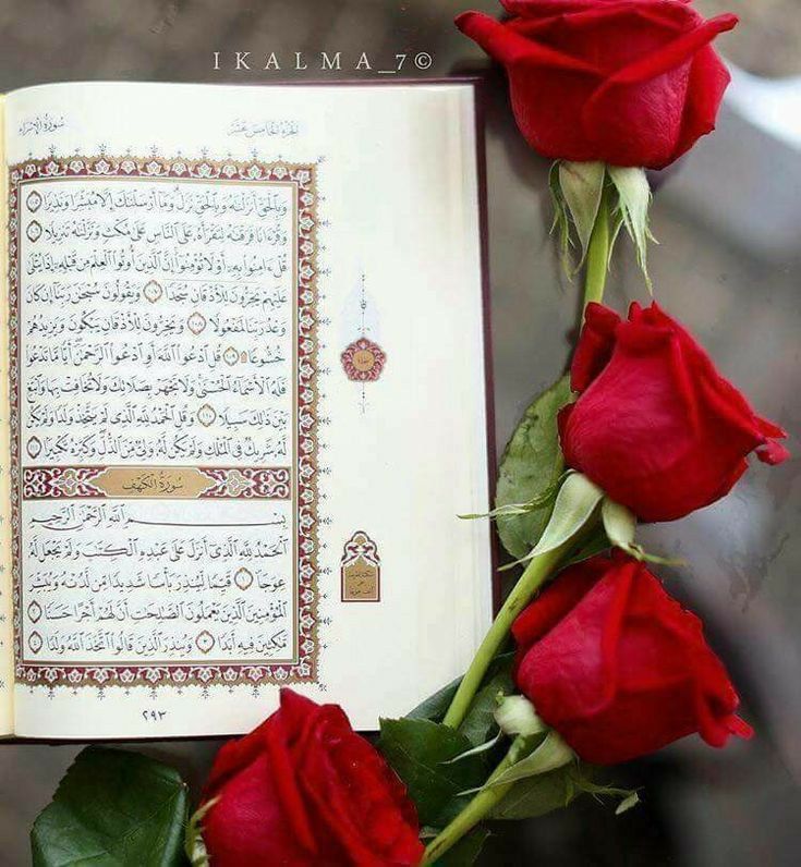 اَلسَلامُ عَلَيْكُم وَرَحْمَةُ اللهِ وَبَرَكاتُهُ🌻

💕*قرآن پاڪ بار بار ڪہتا ہے*💕

*لَا تَقْنَطُوْا۝ نا امید نہ ہو*
*لَا تَهِنُوْا۝ ڪمـزور نہ پڑو*
*لَا تَحۡزَنُوۡا۝ غمگین نہ ہو*
*لَا تَيْاَسُوْا۝ مایوس نہ ہو*
*_امید کو ڪبھى نہ چھوڑنا_*
*_ڪمزور تمہارا وقت ہے_*
*_اللّٰـہﷻ