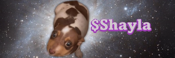 Andrew0xSOL's tweet image. 💎 DEX paid for $Shayla on PumpSwap 💎
Name: Shayla
MCap: $132.6k
Paid: 2 min, 30 s ago
Created: 26 min, 16 s ago

🔗 CA: HakFiadnxPvQXste11NvuxWP2L5LaKArmh2LNG5apump

#Shayla #DexPaid #PumpSwap #SOL