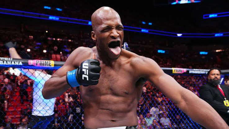 Patchy Mix, Pitbull, none of the Bellator champs did as well as this guy